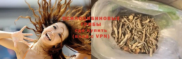 гидра Богородск