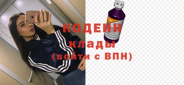 метадон Богданович