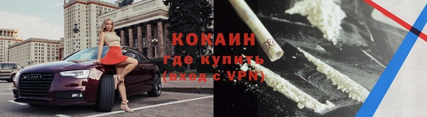 тгк Богородицк