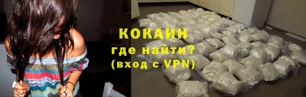 гидра Богородск