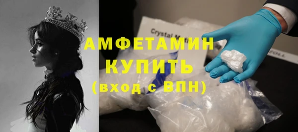 гидра Богородск
