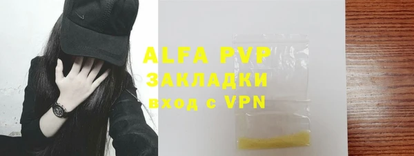 гидра Богородск