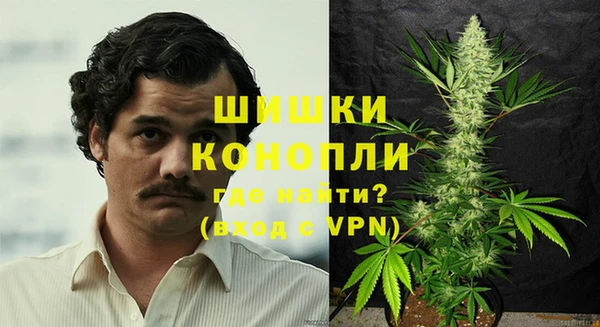 гидра Богородск